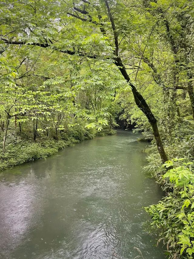 永嘉秘境石桅岩浙江小三峽美到窒息！