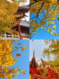 可惜你不來宜春 秋日限定打卡攻略大全