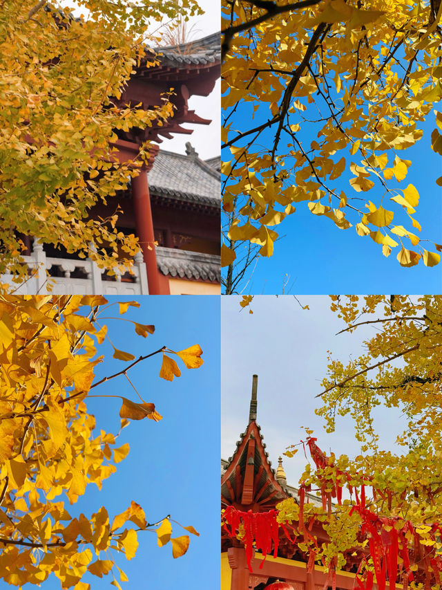 可惜你不來宜春 秋日限定打卡攻略大全