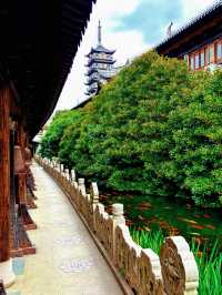 上海追秋 千年銀杏+元代古寺|真如寺打卡全攻略