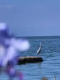 不上班，去昆明追風