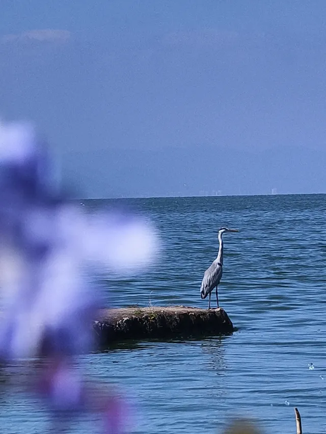 不上班，去昆明追風