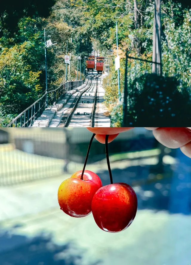 南極前序｜暴走聖地亞哥！實現車厘子自由