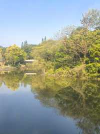 【韶關紅葉季】韶州公園漫步指南童話世界的調色盤在這裡!