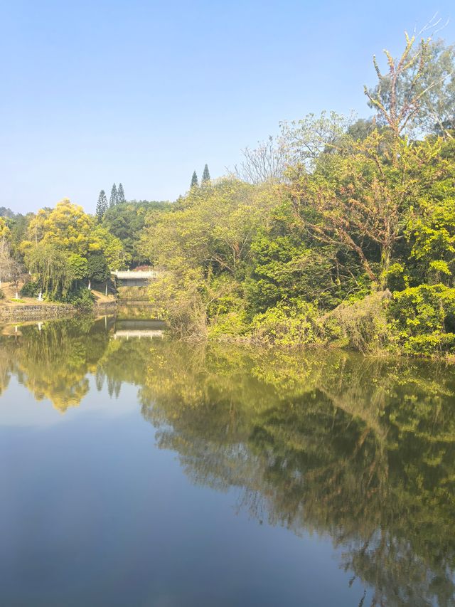 【韶關紅葉季】韶州公園漫步指南童話世界的調色盤在這裡! 【韶關紅葉季】韶州公園漫步指南童話世界的調色盤在這裡!