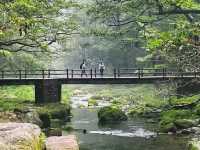 這才是張家界避暑天花板!金鞭溪徒步攻略來了
