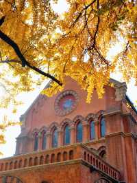 上海外灘賞銀杏不繞路個機位路線攻略