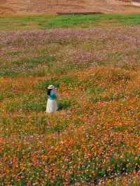 18圖帶你看深圳秋冬限定美景