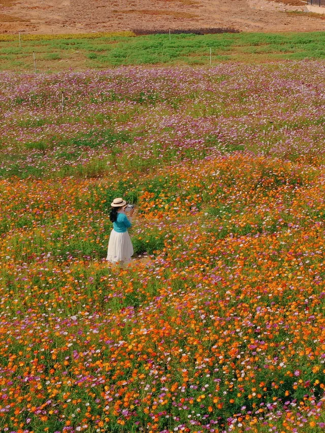 18圖帶你看深圳秋冬限定美景 18圖帶你看深圳秋冬限定美景
