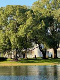 東郊秘境直出！比西郊美10倍的live級秋日畫冊