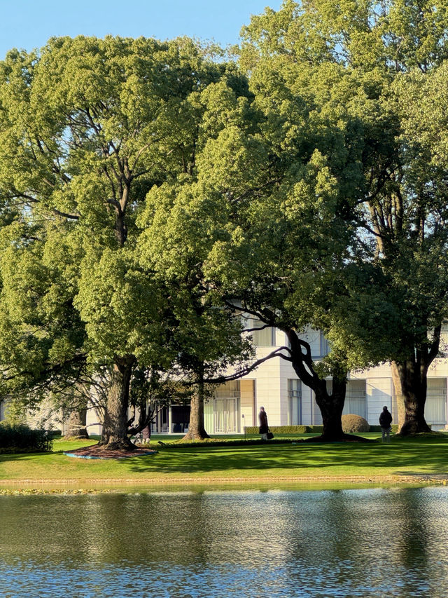 東郊秘境直出！比西郊美10倍的live級秋日畫冊