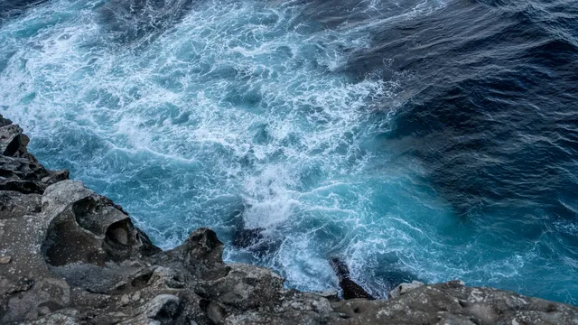 悉尼 | 從Little Bay到La Perouse