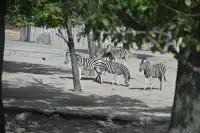 30歲不薅羊毛，更待何時！