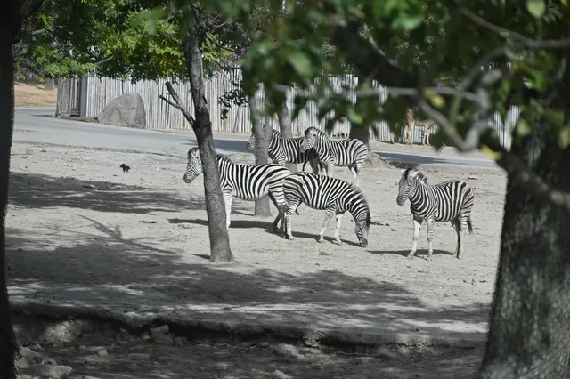 30歲不薅羊毛，更待何時！
