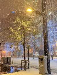 北海道冬日絕景 純白幻想曲