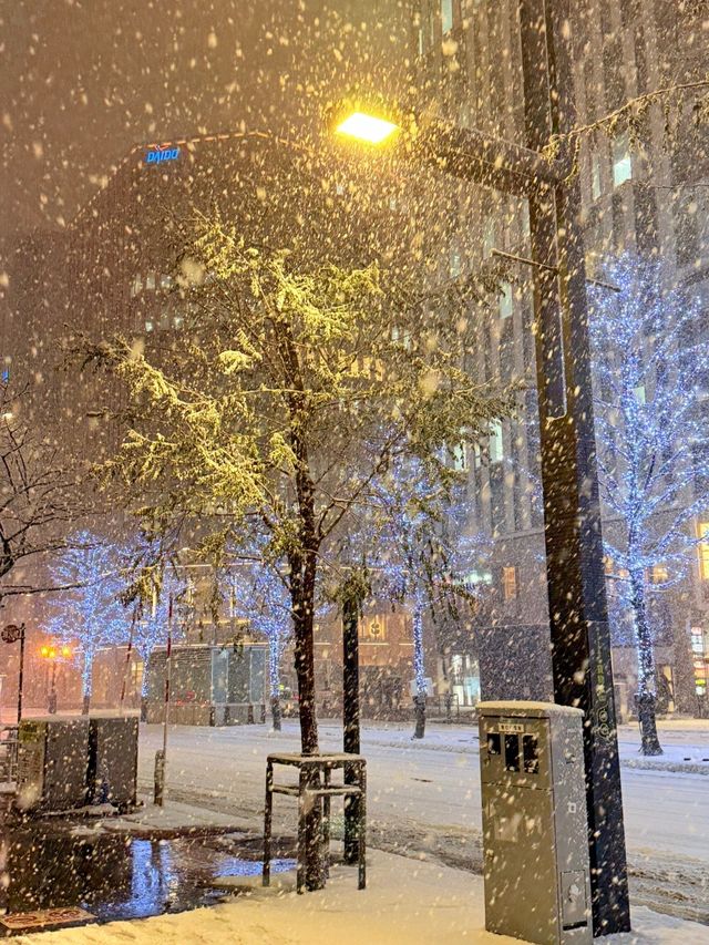 北海道冬日絕景 純白幻想曲 北海道冬日絕景 純白幻想曲