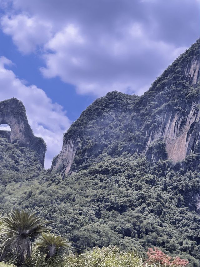 冬天桂林包車遊尊嘟不要太惬意啦 冬天桂林包車遊尊嘟不要太惬意啦