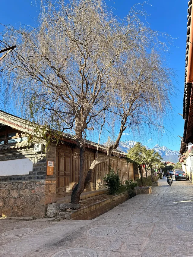 女大勇闖雲南已回！小團體驗後續