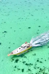 放棄三亞了 去潿洲島追鯨魚了