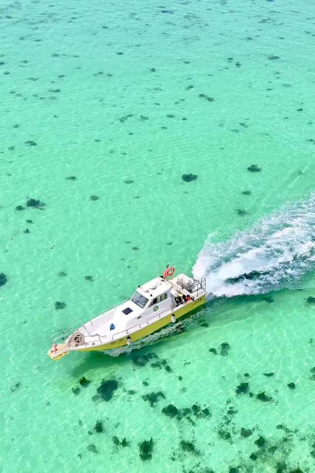 放棄三亞了 去潿洲島追鯨魚了 放棄三亞了 去潿洲島追鯨魚了