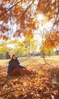 終於等來上海天花板水杉林的封神期附攻略