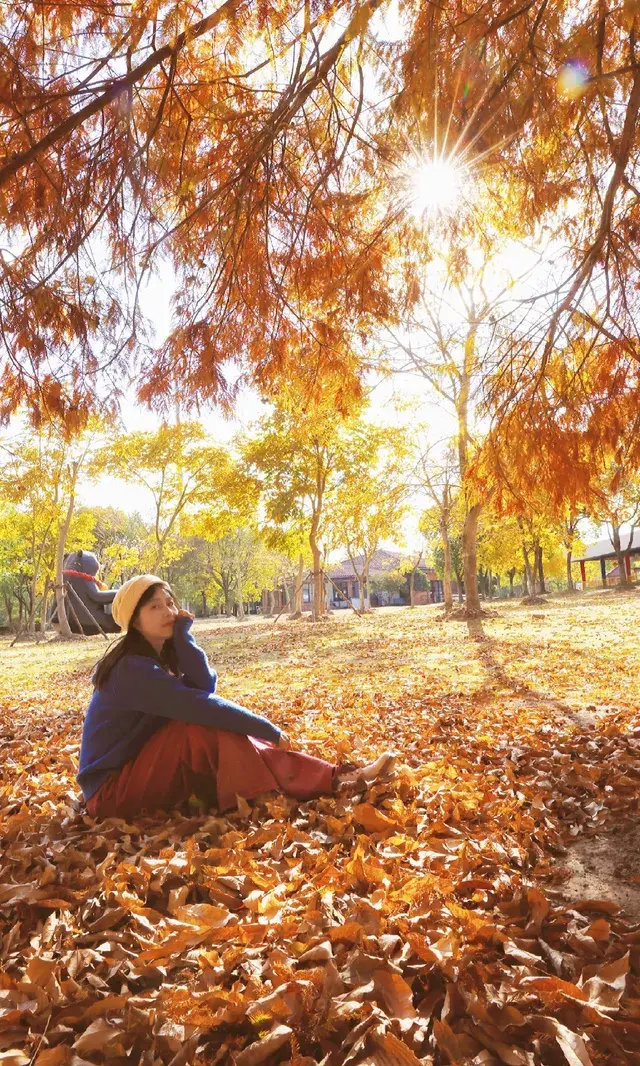 終於等來上海天花板水杉林的封神期附攻略 終於等來上海天花板水杉林的封神期附攻略