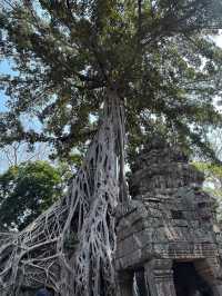 一個人solo柬埔寨吳哥窟,大小圈行程攻略