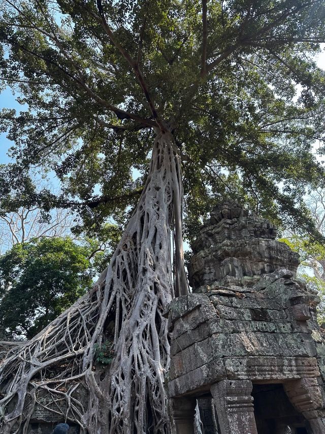 一個人solo柬埔寨吳哥窟,大小圈行程攻略 一個人solo柬埔寨吳哥窟,大小圈行程攻略