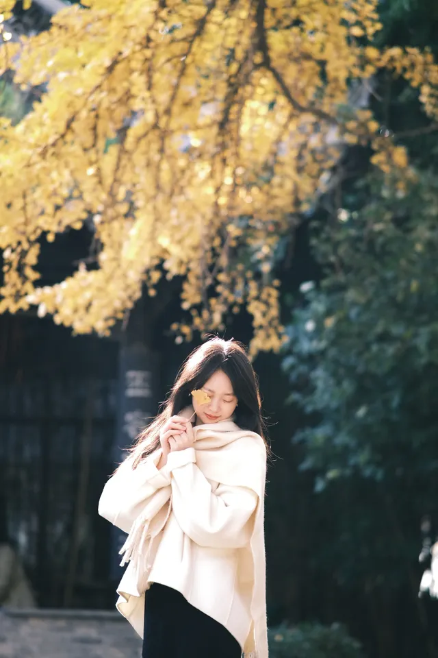 不要錯過揚州看銀杏的時節 不要錯過揚州看銀杏的時節