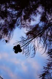 上海|又給大家找到一個拍照好去處絕對出片