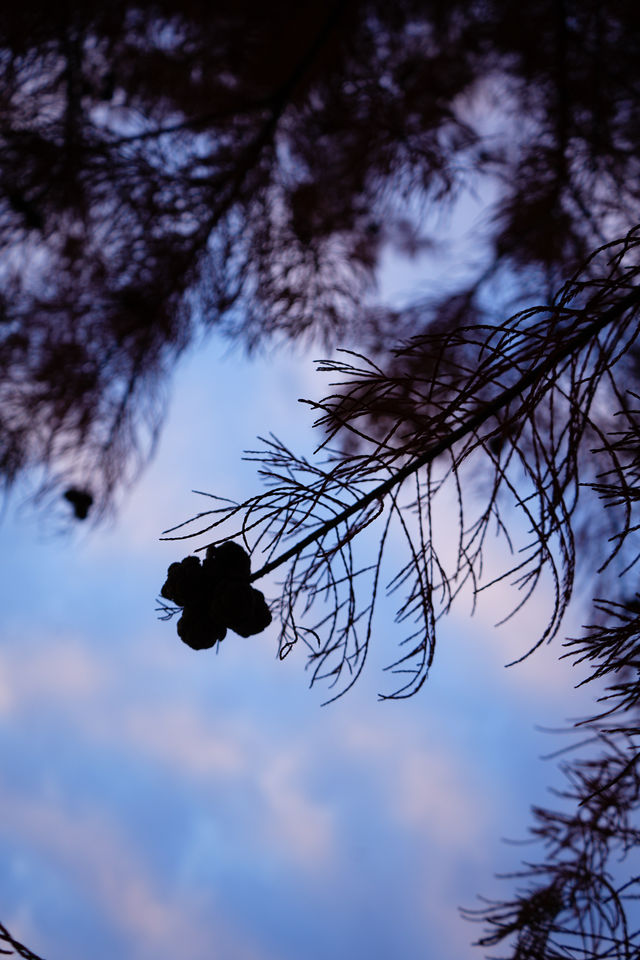 上海|又給大家找到一個拍照好去處絕對出片 上海|又給大家找到一個拍照好去處絕對出片