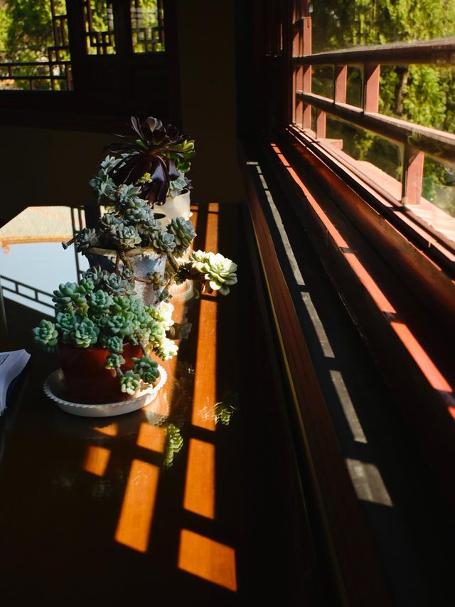 在安寧|步步生蓮花,心靜萬物寬。三和寺 在安寧|步步生蓮花,心靜萬物寬。三和寺