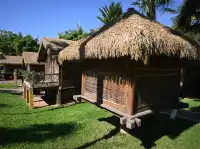 滇池邊的冬日限定浪漫！雲南民族村觀鷗全