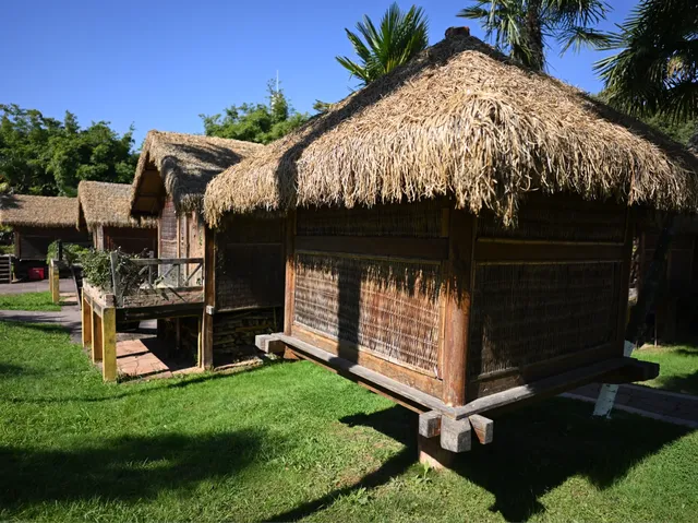 滇池邊的冬日限定浪漫！雲南民族村觀鷗全