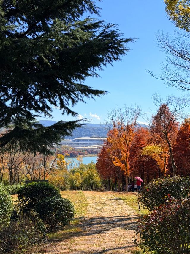 昆明免費寶藏公園|白龍潭私藏秘境,包場式逛園太治癒 昆明免費寶藏公園|白龍潭私藏秘境,包場式逛園太治癒