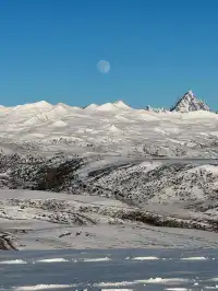 命運的扣環—願我們永遠自由