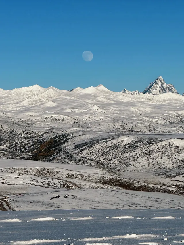 命運的扣環—願我們永遠自由 命運的扣環—願我們永遠自由