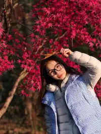 中山陵拍照機位