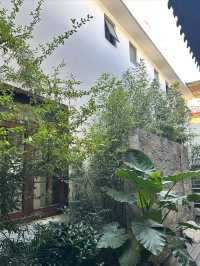 麗江小眾避世民宿推窗獨享鬆弛感