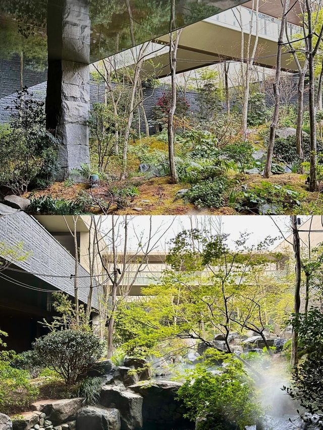 男大實測!800+住進凱悅臻選山水庭院,這波血賺不虧 男大實測!800+住進凱悅臻選山水庭院,這波血賺不虧