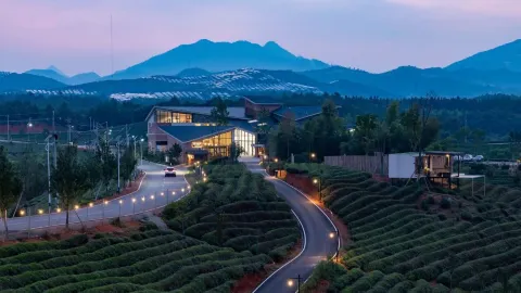 서야신은｜숭양차우, 차밭 속 은둔처를 열다 — traveler post in 충양