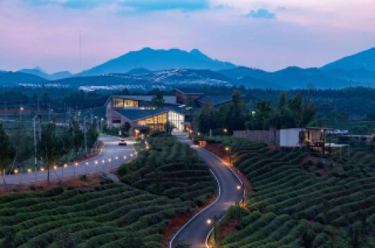 Shuye Xinyin｜Chongyang Tea Corner Opens a Secluded Retreat in the Tea Fields