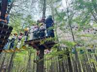 魔都新打卡點！浦江郊野公園叢林探險全攻略
