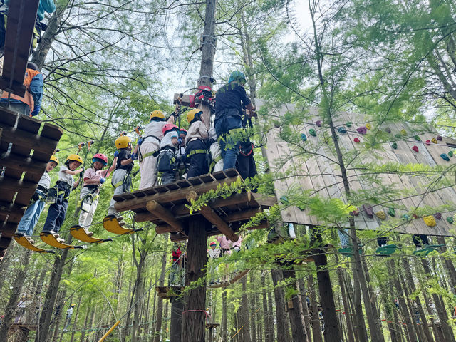 魔都新打卡點！浦江郊野公園叢林探險全攻略