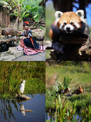 푸얼 태양하 숲공원을 다녀오고 나니 바로 머물고 싶어졌어요