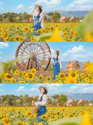 春節休暇の新スポット｜花海に飛び込んで自由をまるごと満喫！