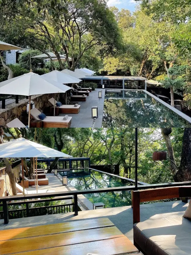 Beautiful hotel to stay at during the best spring season in Hangzhou! Comfortable