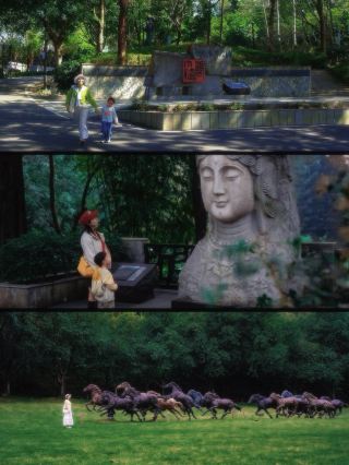 The oasis in the city center is absolutely amazing