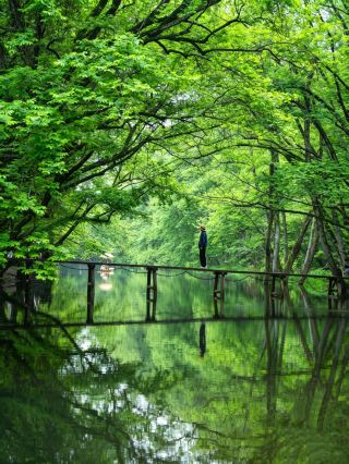 "National Geographic" didn't lie to me—this lesser-known ancient town is worth multiple visits