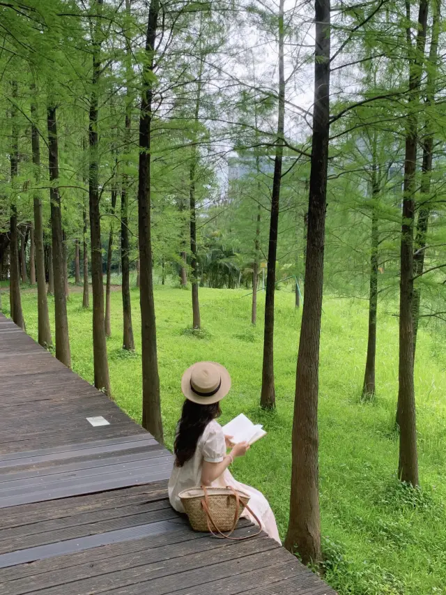 Guangzhou Park is as beautiful as a matcha cake Live photo
